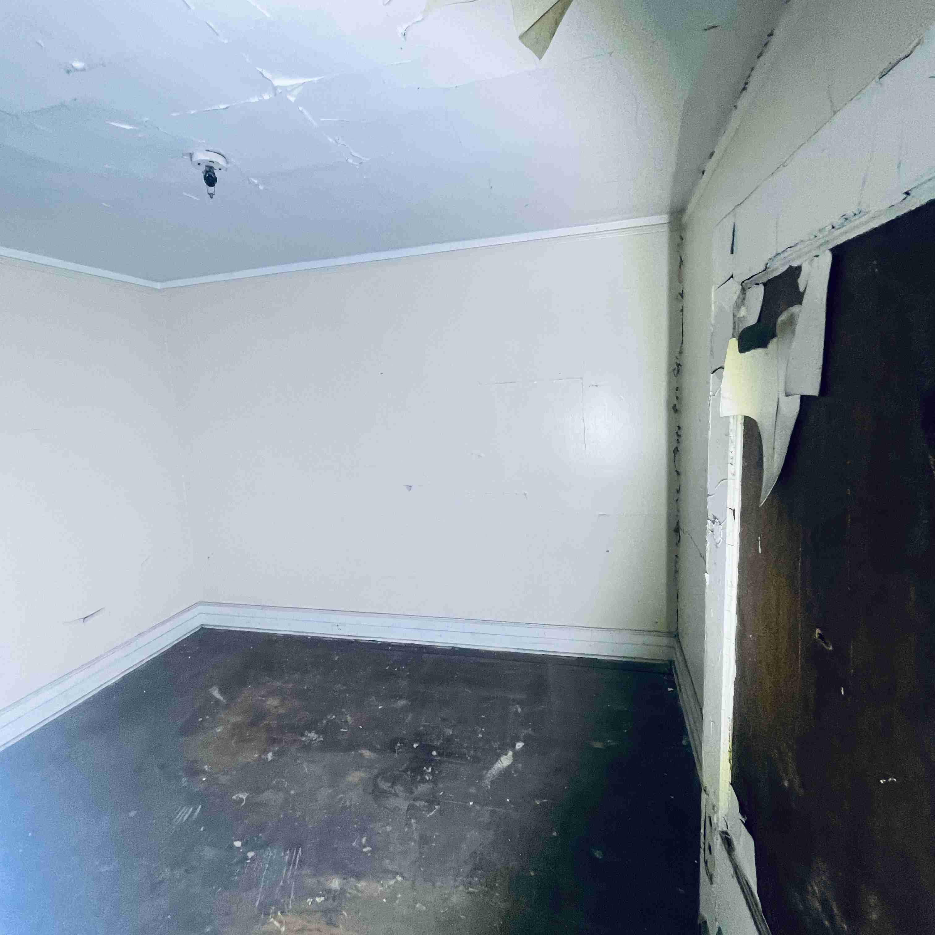 12484 Loretto (24).jpg